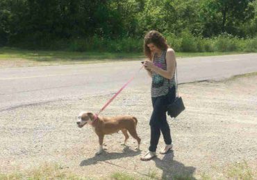 When An Animal Shelter Invited Pokémon Go Players To Walk Their Dogs, They Didn’t Expect This Outcome